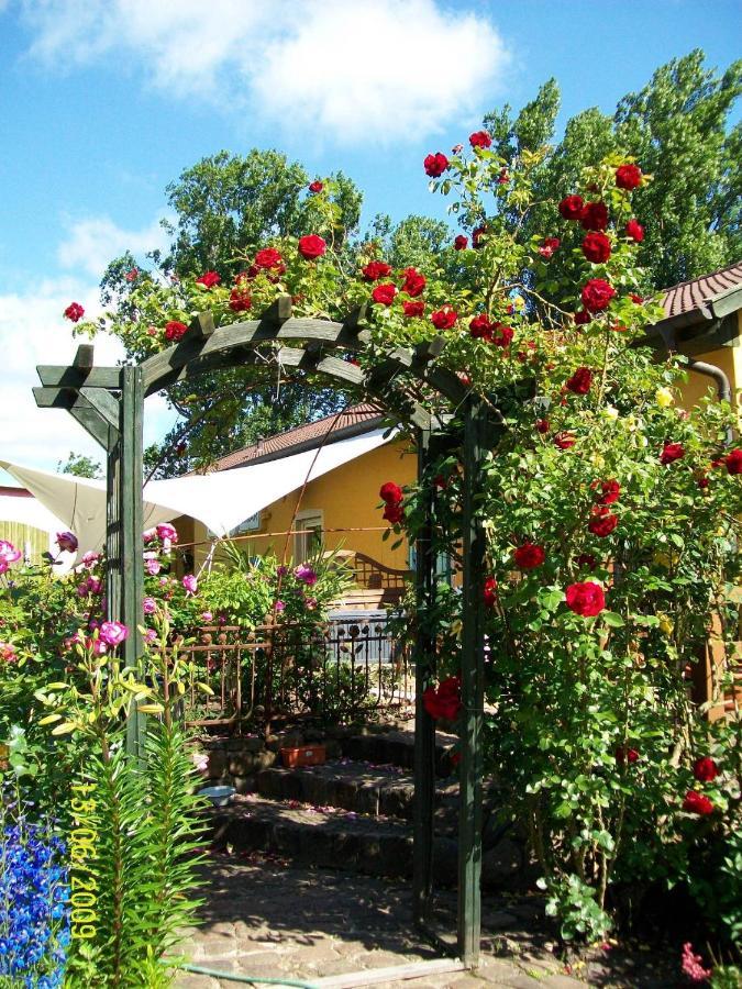 Hotel Barrel -Schlafen Im Fass Gorleben Esterno foto